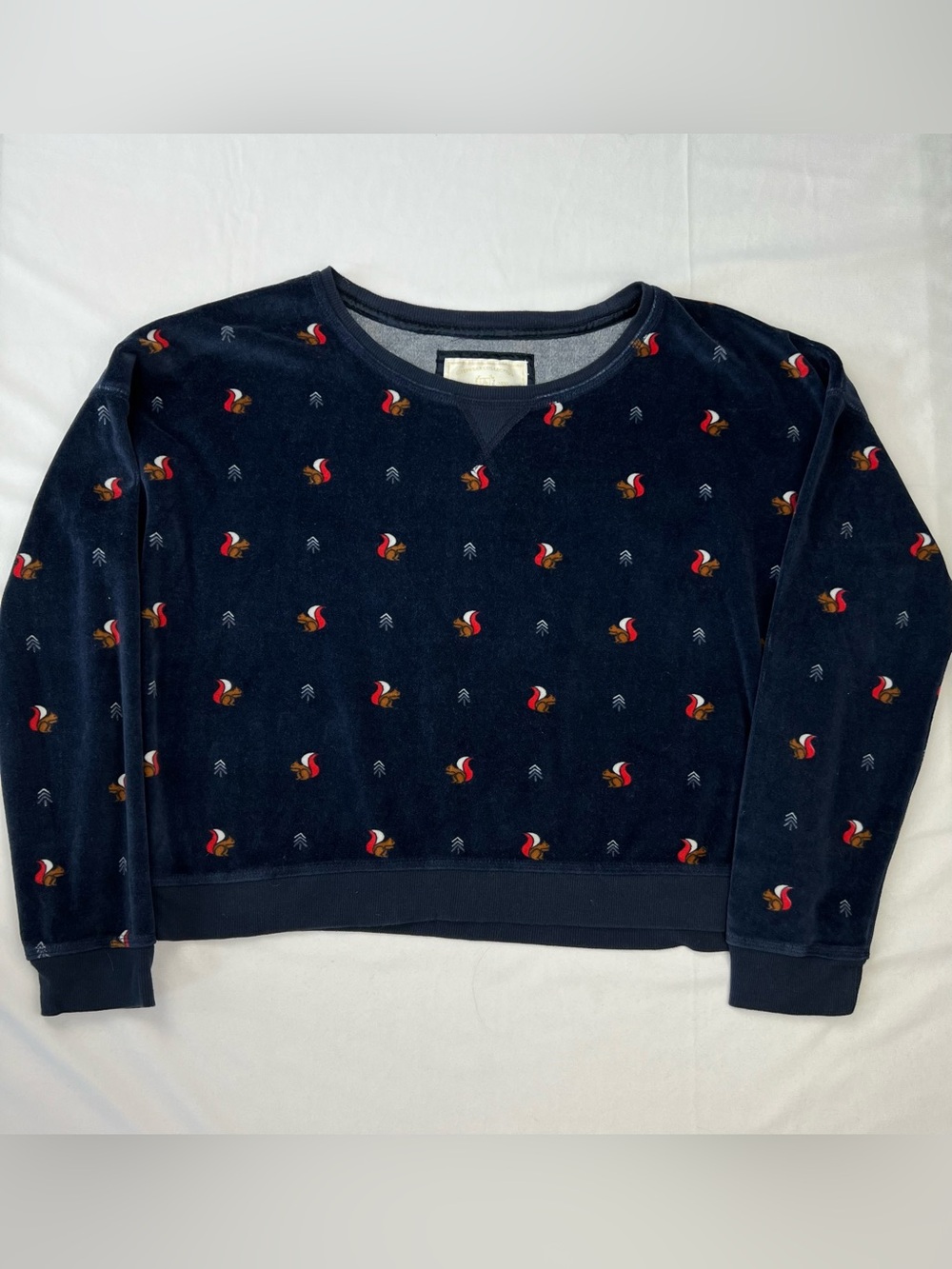Abercrombie & Fitch Oversized Cropped Boxy Squirrel Velour Sweatshirt - Large